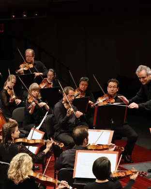 Friqtao San Francisco