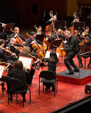 Lara Downes Berkeley