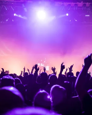 Babes In Canyon San Francisco