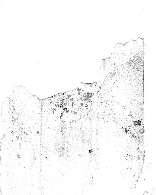 Live concert by Alison Brown