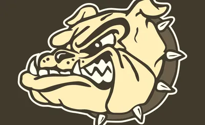 Gonzaga Bulldogs