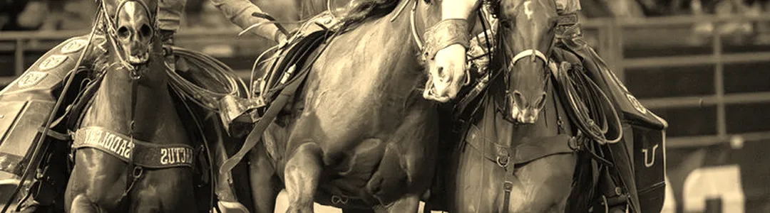 Grand National Rodeo