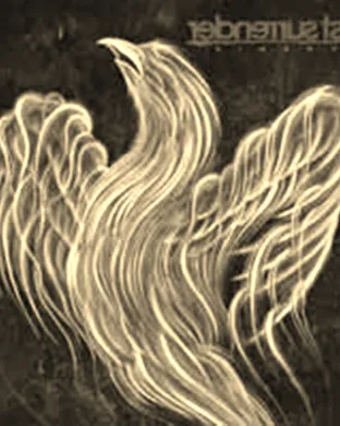 Just Surrender San Francisco