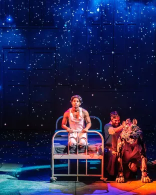 Life of Pi