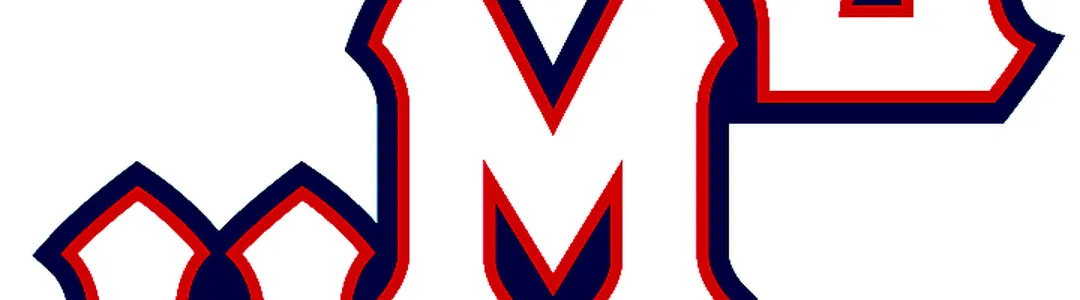 Loyola Marymount Lions