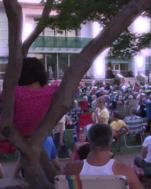 Live concert by Microwave