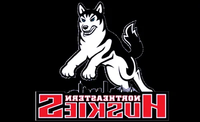 Northeastern Huskies