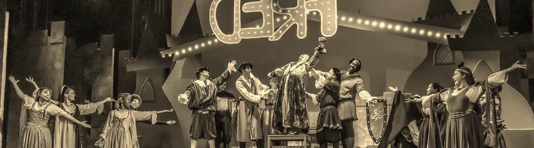 Once Upon a Mattress