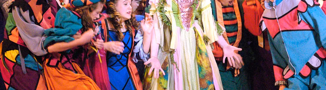 Once Upon a Mattress