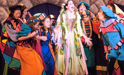 Once Upon a Mattress