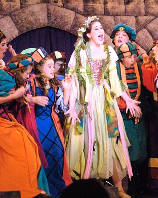 Once Upon a Mattress