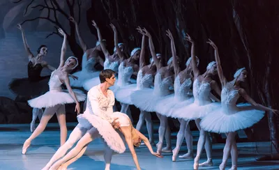 Swan Lake