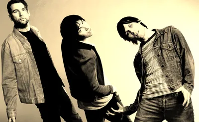 The Cribs