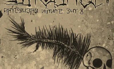 The Stinkfoot Orchestra