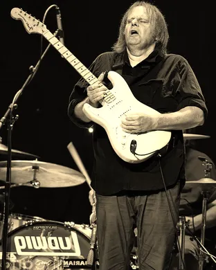Walter Trout